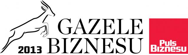 Gazele Biznesu 2013